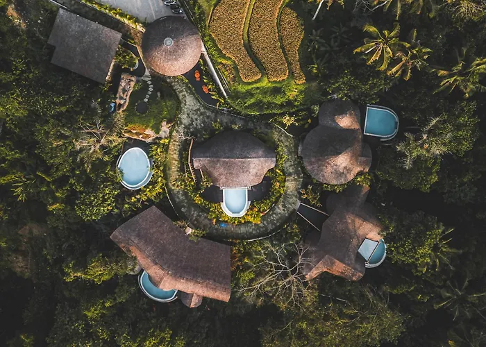 Jungleight Bali Tegallalang (Bali)