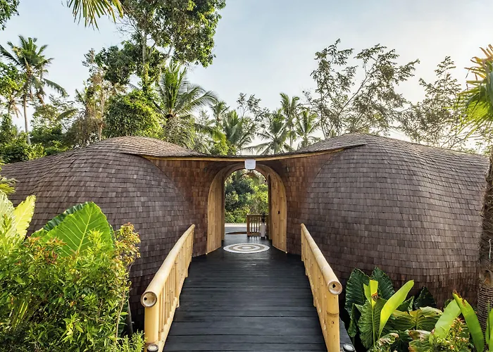 Jungleight Bali