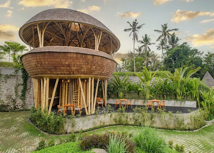 Jungleight Bali